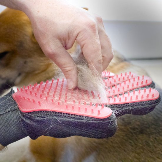 Smarta borsthandskar för pälsdjur (1 par) - Klicka på bilden för att stänga