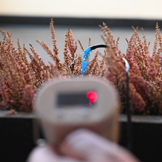 Automatisk blomvattnare (för 4 växter) - Klicka på bilden för att stänga