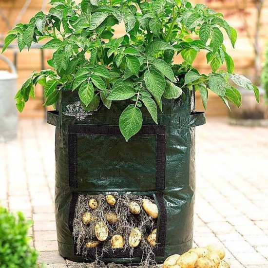 Portabel odlingslåda - Plant Grow Bag - Klicka på bilden för att stänga